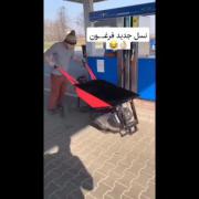 نسل جدید فرغون: کپشن را بخونید