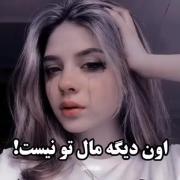 اشکالی نداره من تحملش میکنم 🙂