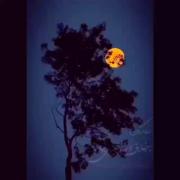 زندگی برخلاف آرزوهایم گذشت😕💔