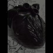 قلب سیاهو رگای سنگی....:)))>>>