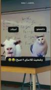 وضعیت کلاس هشت صبح😂😂👌 .