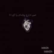 ••••••••••••••••••••••••••••••••