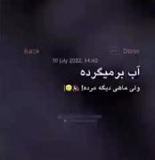 آب بر میگرده ولی اون ماهی دیگه مرده🖤
