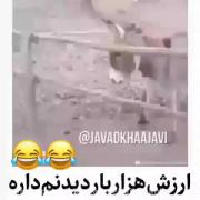 هرچقدر هم ببینیش بازم کمه🤣🤣🤣🤣