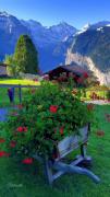 ویدیو گردشگری از مناظر زیبای سوئیس-ونگن