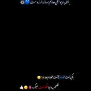 دل دیوانه یکی مثل خود دیوانه را میخواهد