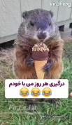 وضعیت هر روز من به روایت تصویر 🤣