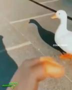 خودتون بگین چی نتیجه میگیرن 🤣🤣