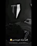 قلب ترک خرده من ...... بندع به مو بود