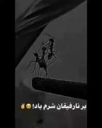 ..........کاش دروغ تلخ بودو حقیقت شیرین.........