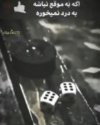 اگر به موقع نباشی دیگه بدرنمی خوره