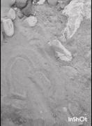 بهش بگین ک ب تاوان قلبی ک ازم شکست هزاران قلب ها خواهم شکست