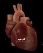 قلب بقیه vs قلب من.............