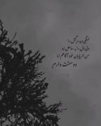 ((:🍃🖤🍃🖤🍃🖤اما دوستت دارم🍃🖤🍃🖤🍃🖤🍃:))