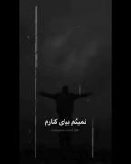 منم دلم میخواست،دلبر من دلبر بود......