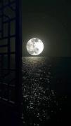 استوری ماه مهتاب شب تنهایی‌ مود