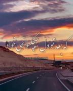 &من دارم کم کم دیونه میشم 🖤)) 