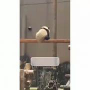 غمگین.استوری.عاشقانه.😢😢🥰😍🥰