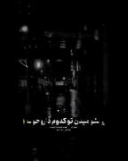 ..............................