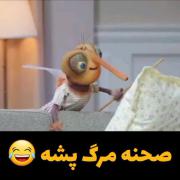 وقتی پشه میمیرد طنز ارزش دیدن رو داره