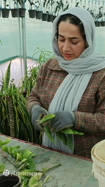 کل اینستا دیگه می خوام برینم بهشون