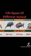 طول عمر موجودات مختلف برای اطلاعات عمومی