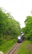 عبور قطار در دل جنگل مازندران سوادکوه شیرگاه