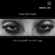 چشم‌ها فریاد می‌زنند.🕊️ ‌ ‌ ‌ ‌