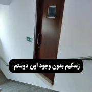 زندگیم بدون وجود اون دوستم: 