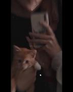 بدون ت‌و نصف سال گذشت ..:)✨️🫡