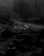 خوبی‌ به این‌ آدما‌ نیومده....:)