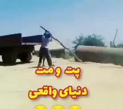 پت و مت دنیای واقعی..😂. .