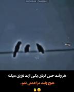 هیچ وقت مزاحمش نشو.. 