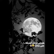 همچی از دور قشنگه..! 