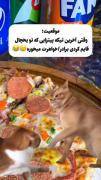 وقتی غذایی که قایم میکنی رو خواهر یا برادرت میخوره😂😐 