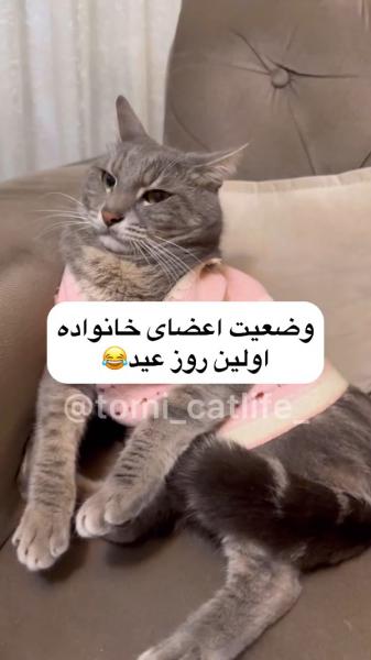 آخی آخری سلطان غم پادر همش اول واسه فرزنداش میخاد