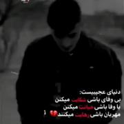 دنیای عجیبیست واقعا: 