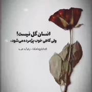 =(((((((((((((((((((((((((((((((