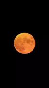 ماه و چقدر قشنگ وای وای 💕ترو خدا نگاه کنید