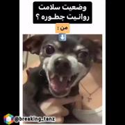 وضعیت سلامت روانی من به روایت تصویر🤣