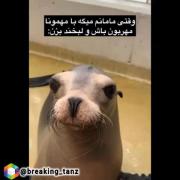 من وقتی مامانم میگه با مهمونا مهربون باش و لبخند بزن