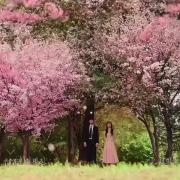 پست عاشقانه موزیک ویدیو دخترانه کره ای