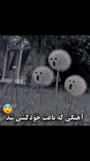 آهنگی که موجب خودکشی خیلی ها شد سم😂😂😂