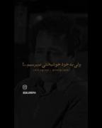 ولی به خود خوشبختی نمیرسیم...!