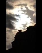 یه تار موتو به دنیا نمی‌دم دیشب❤