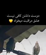 عشق مراقبت میخواد... 
