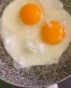 همه اینارو میخوام فهمیدیی؟ 