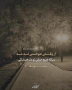 از وقتی شوخی مد شد...‌‌‌‌‌ 