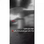 ................................