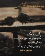 ما اونجوری که دلمون میخواست زندگی نکردیم...